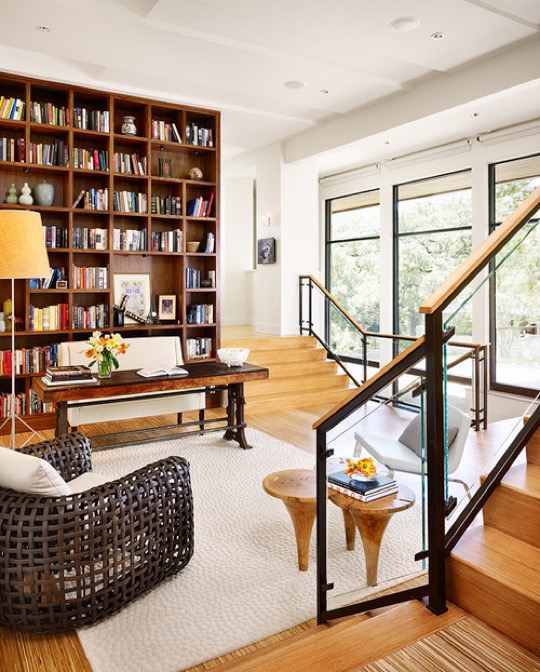 Modern style transitional library